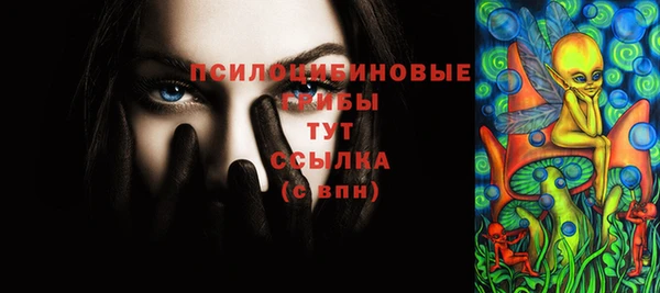 индика Армянск