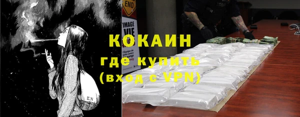 индика Армянск