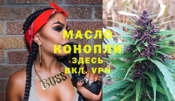 индика Армянск