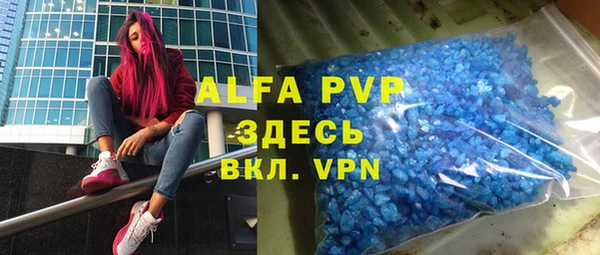 индика Армянск