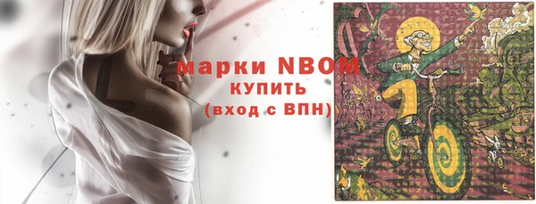 индика Армянск