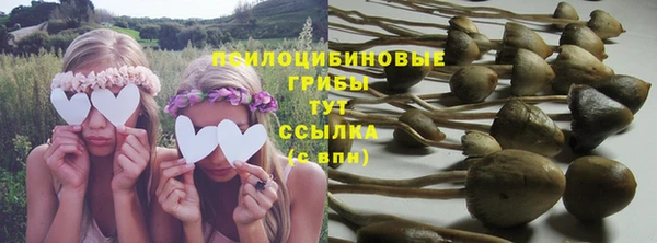 индика Армянск