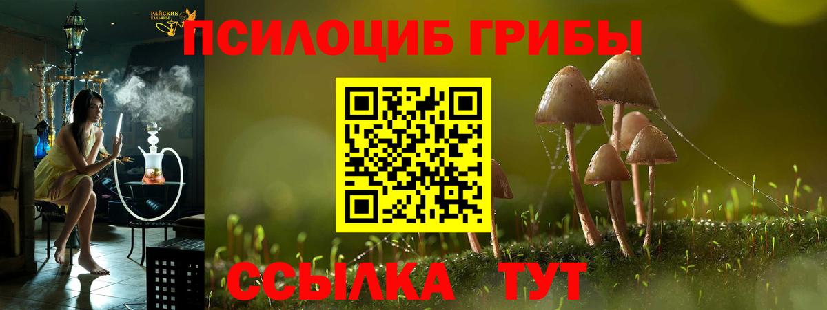 Галлюциногенные грибы Cubensis  Вход с VPN  Электрогорск  Галлюциногенные грибы GOLDEN TEACHER 