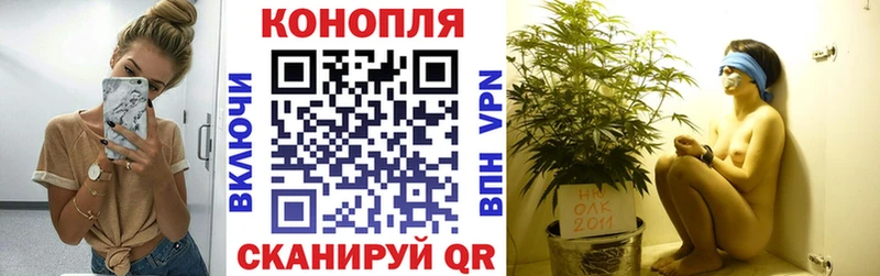 Шишки марихуана план  Электрогорск 